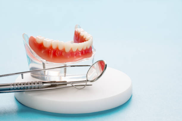 Professional  Holistic Dental Services in Panama City Beach, FL